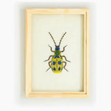 Beaded Framed Art