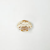 Solar Eclipse Hair Claw