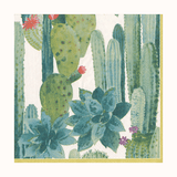 Boxed Paper Cocktail Napkins