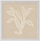 Botanical Study with Wood Frame, Series 4