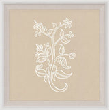 Botanical Study with Wood Frame, Series 4