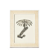 Aberdeen Picture Frame, Beige