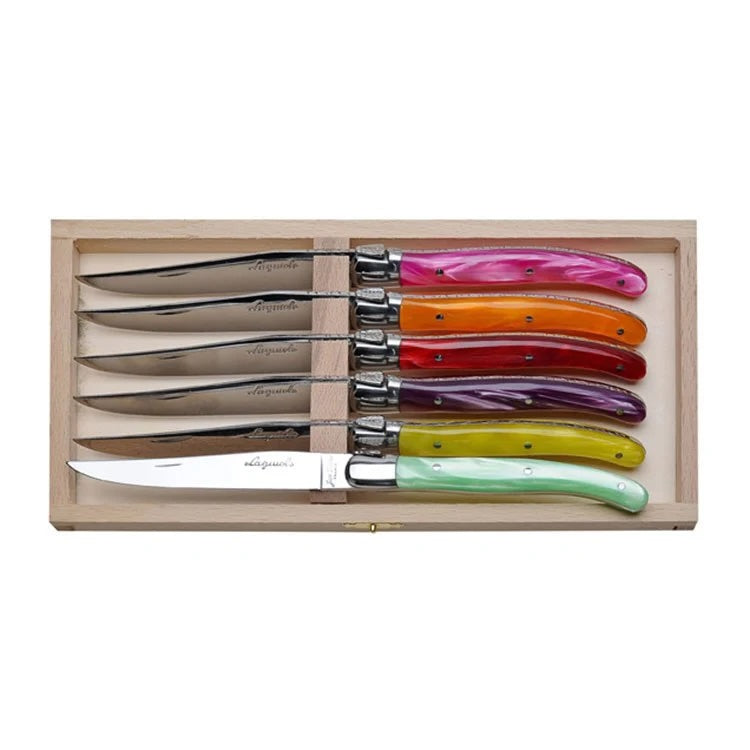 Jean Dubost Laguiole Multi-Color Knife Set
