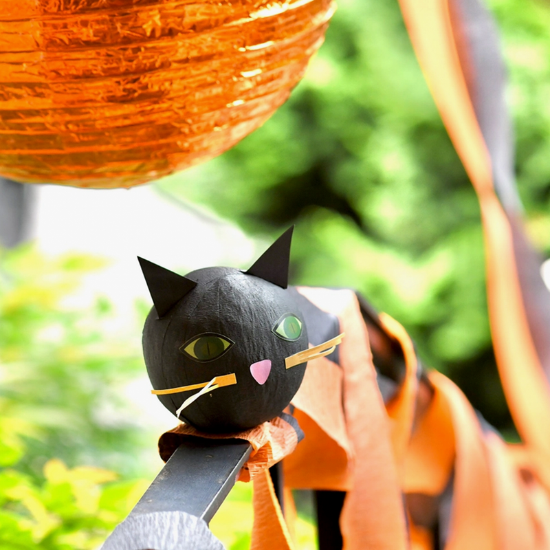 Black Cat Deluxe Surprize Ball