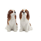 Ceramic Salt & Pepper Shakers