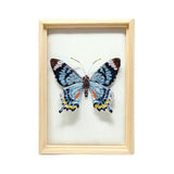 Beaded Framed Art