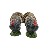 Ceramic Salt & Pepper Shakers