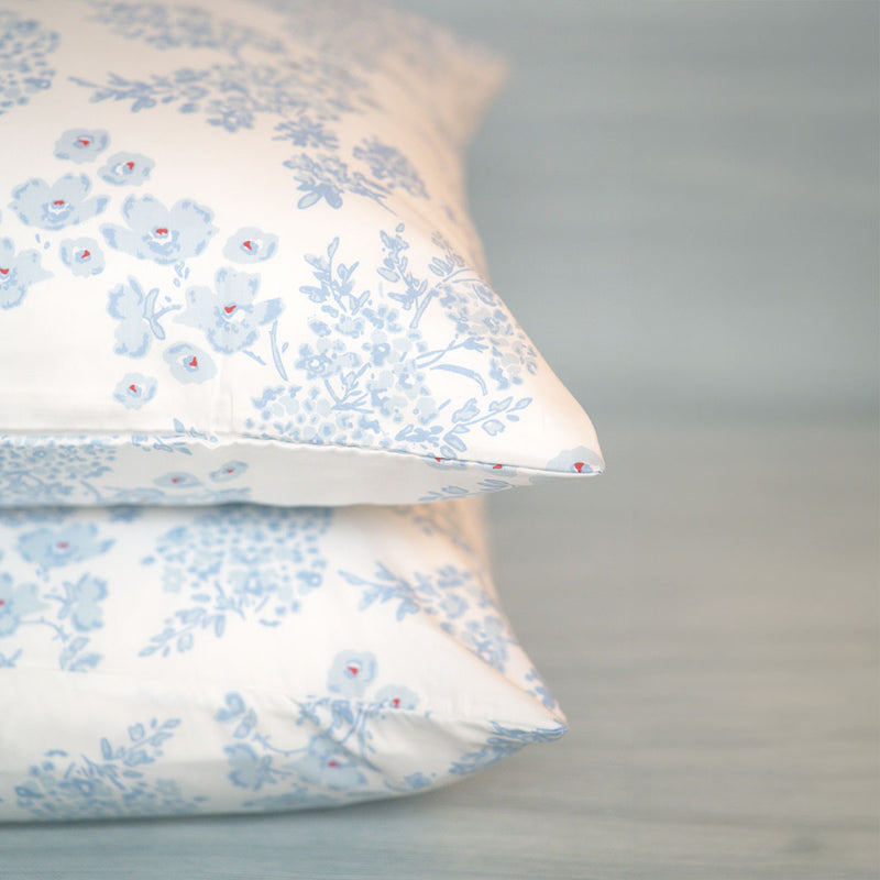 Dorothy Blue Shams