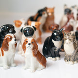 Ceramic Salt & Pepper Shakers