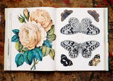 John Derian Picture Book