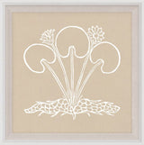Botanical Study, Series 4