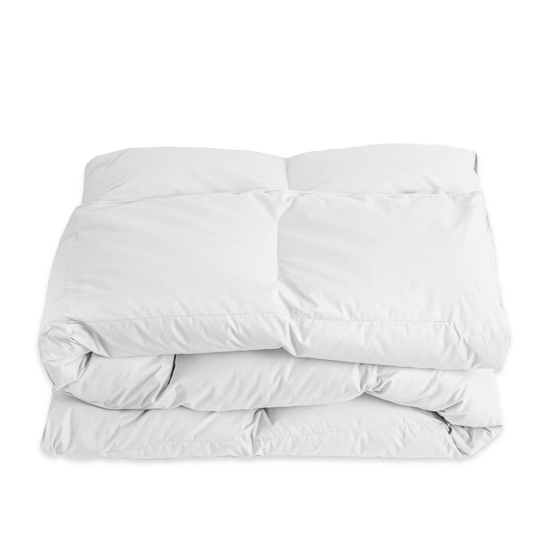 Twin Duvet Down Insert