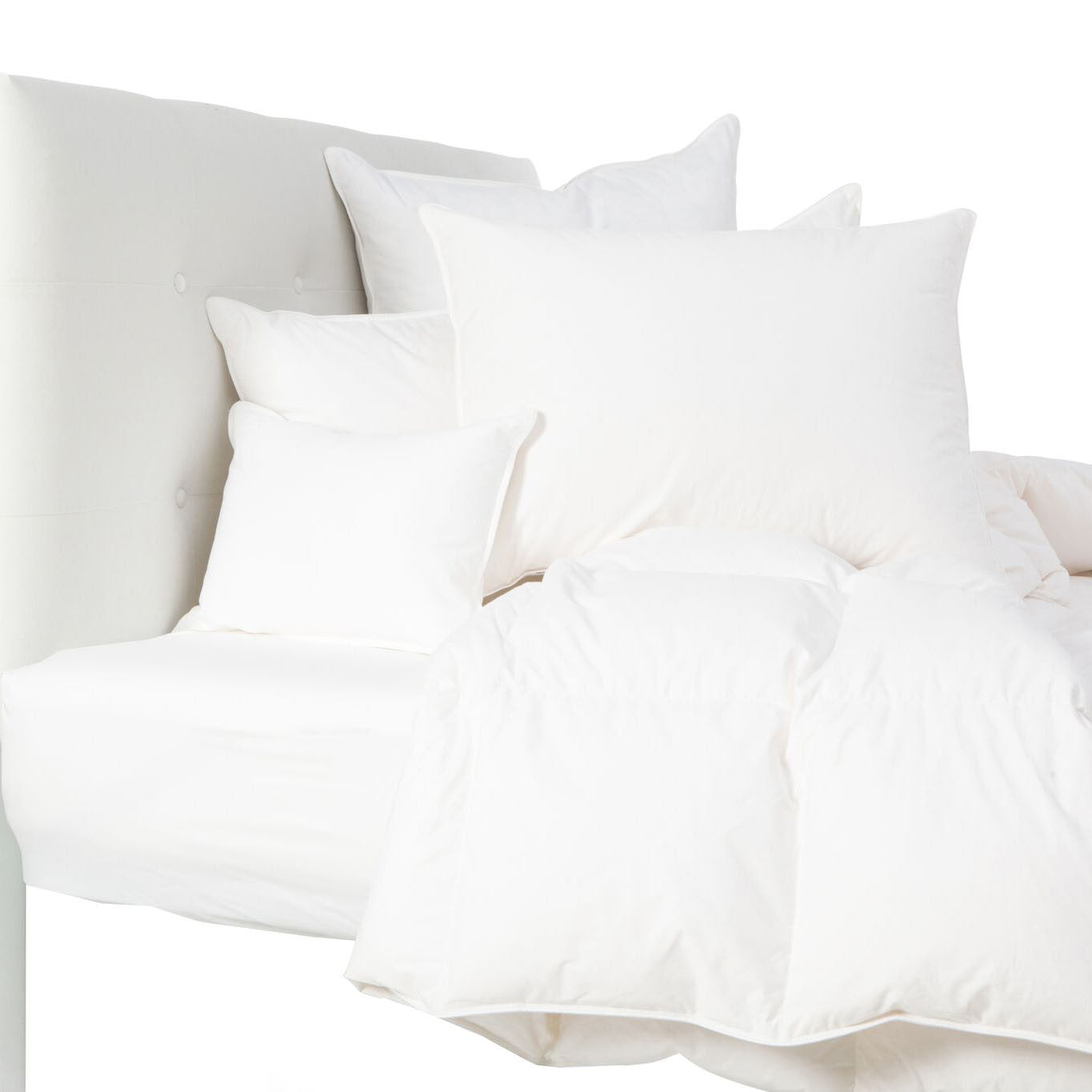 Boudoir Pillow Insert Biscuit Home