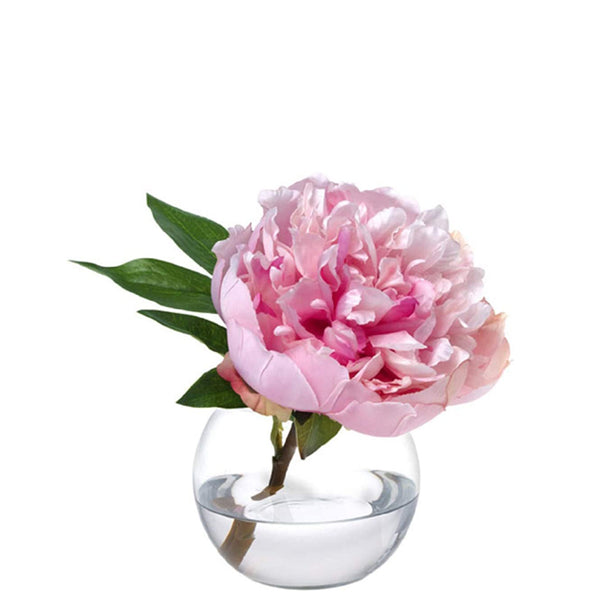 Peony Blossom